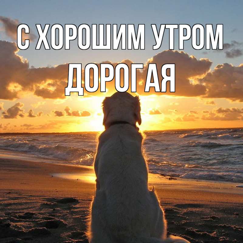 Картинка С хорошим утром, Дорогая