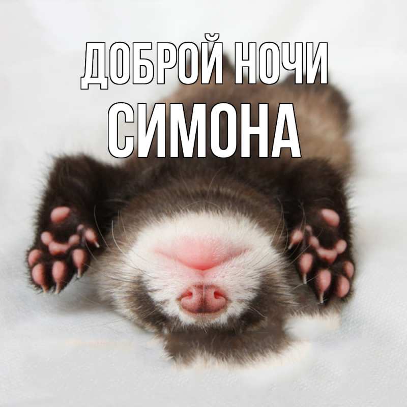 Картинка Доброй ночи, Симона