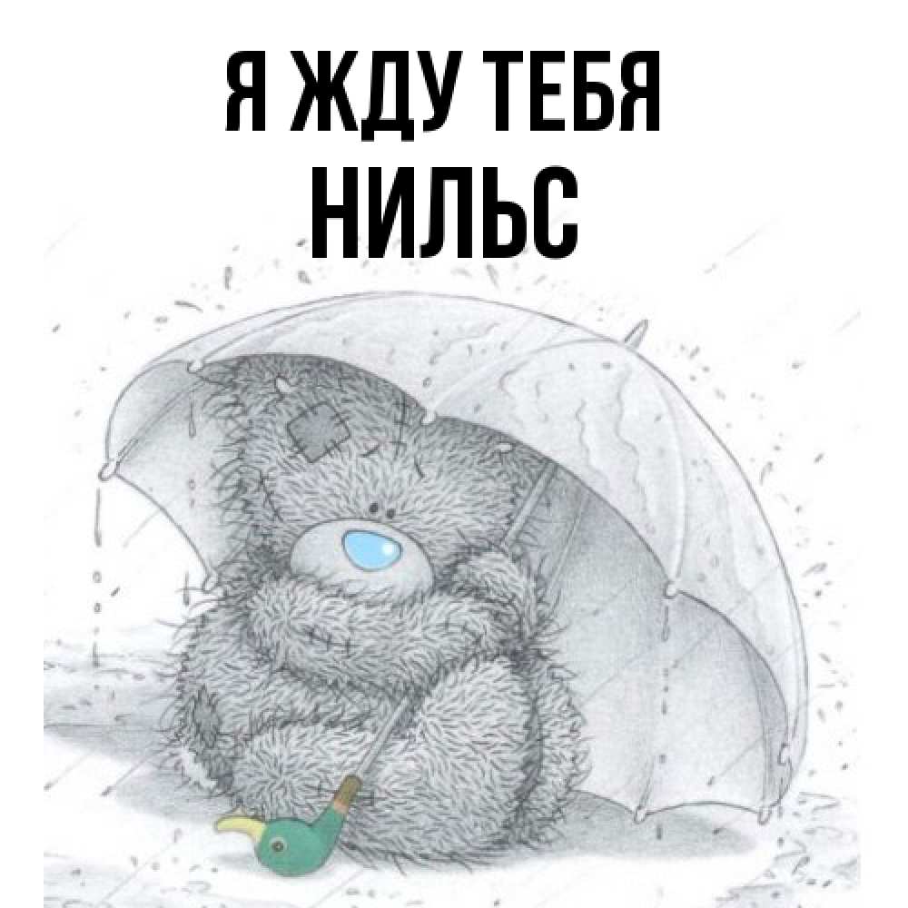 Открытка на каждый день с именем, Нильс Я жду тебя весеннее или осеннее настроение Прикольная открытка с пожеланием онлайн скачать бесплатно 