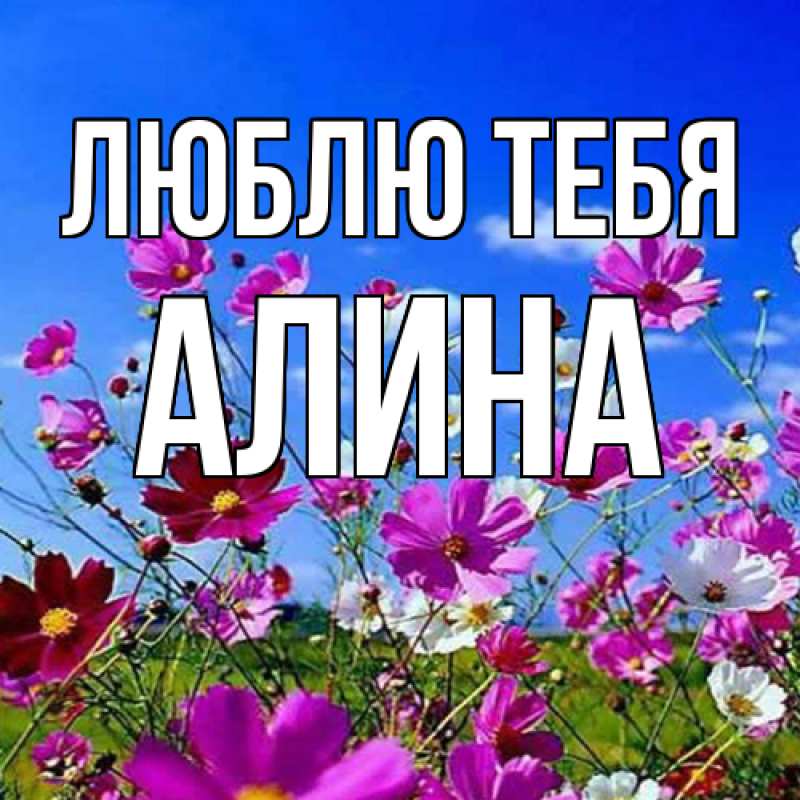 Картинка Люблю тебя, Алина