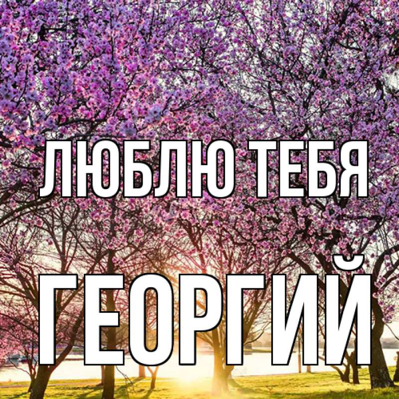 Картинка Люблю тебя, Георгий