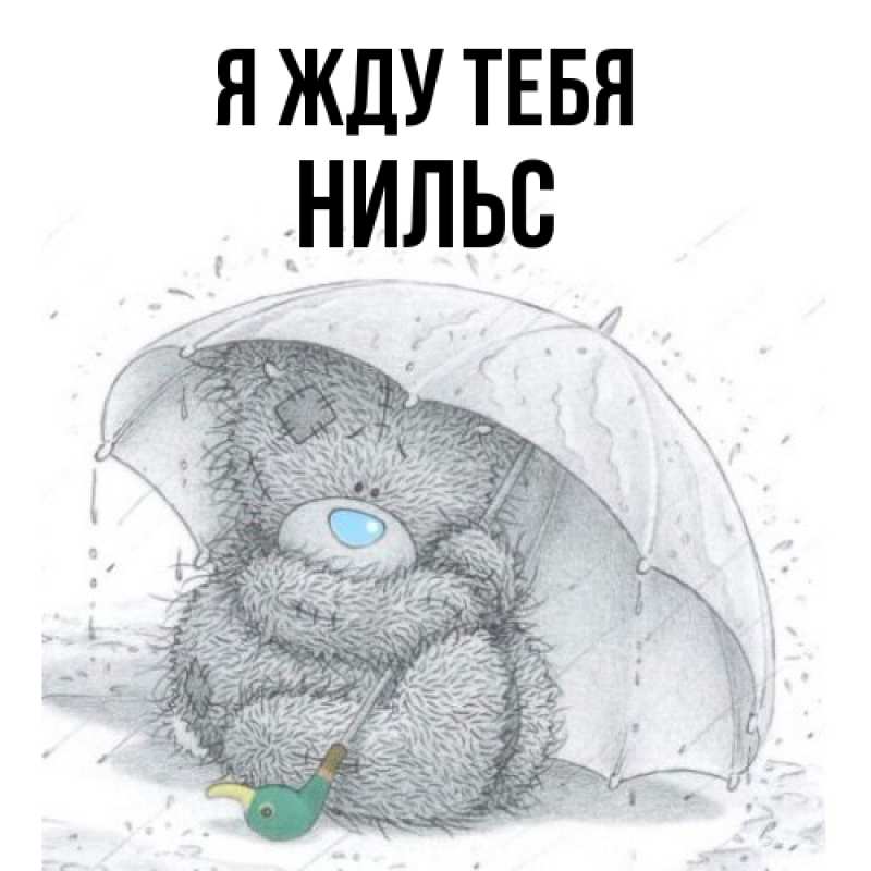 Картинка Я жду тебя, Нильс