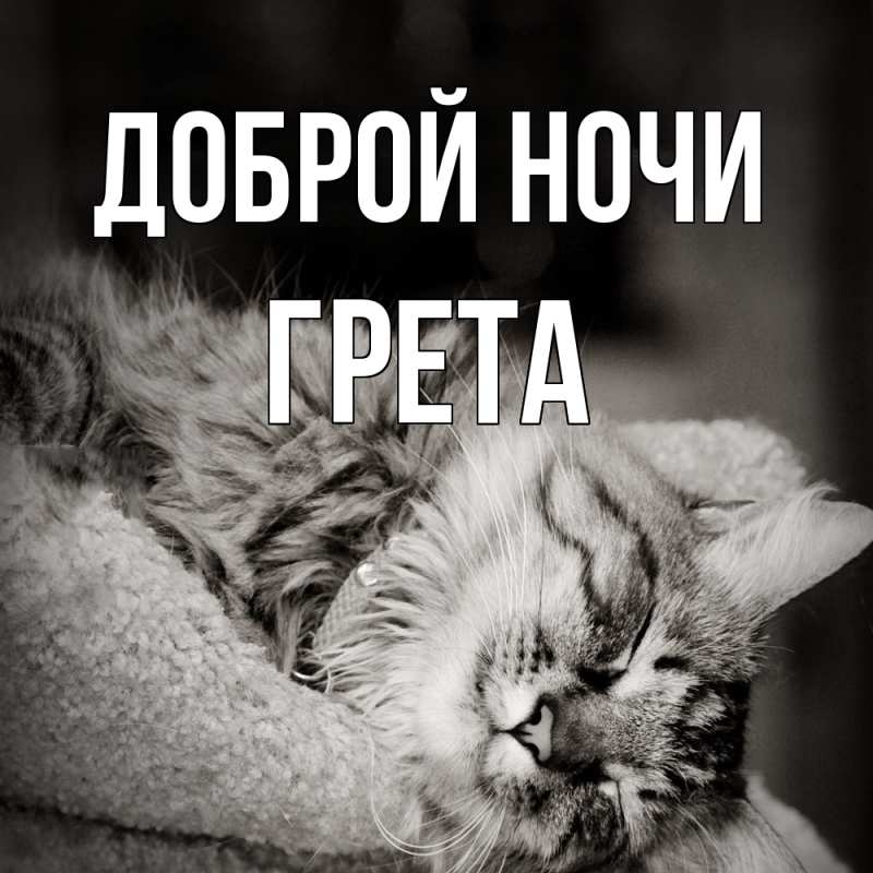 Картинка Доброй ночи, Грета