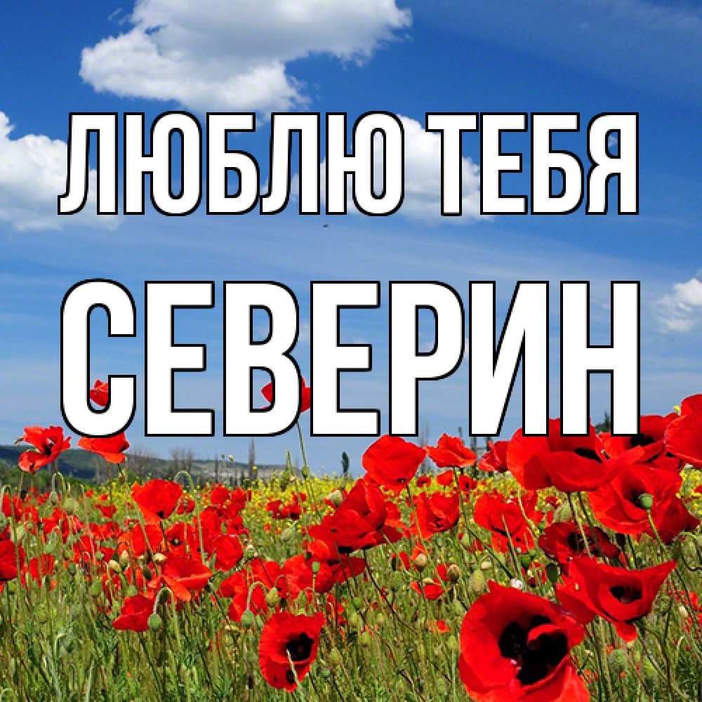 Открытка на каждый день с именем, Северин Люблю тебя международный женский день 1 Прикольная открытка с пожеланием онлайн скачать бесплатно 