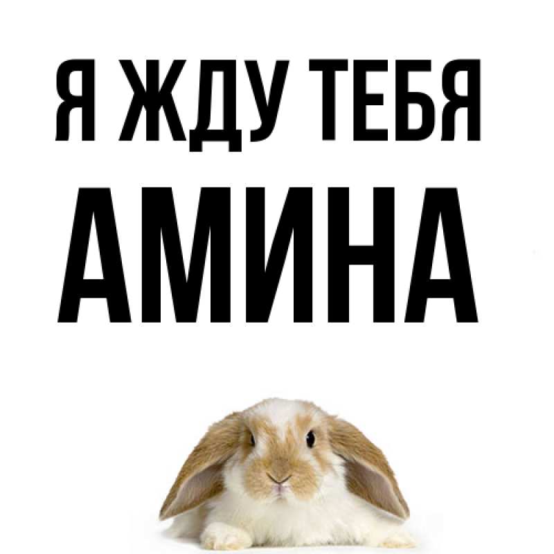 Открытка с именем, Амина, Я жду тебя
