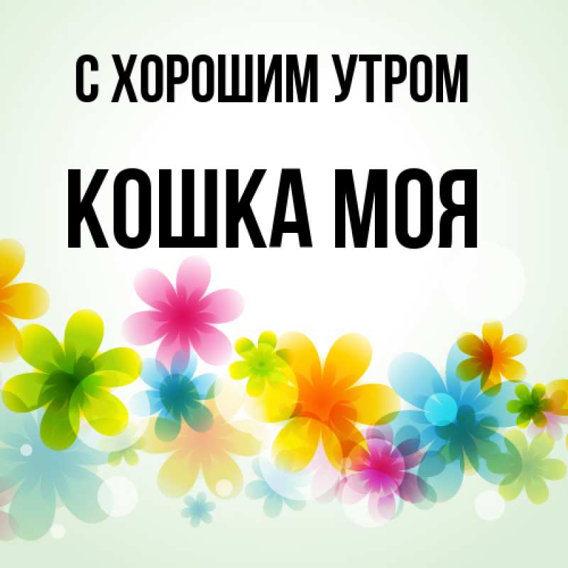 Картинка С хорошим утром, Кошка моя