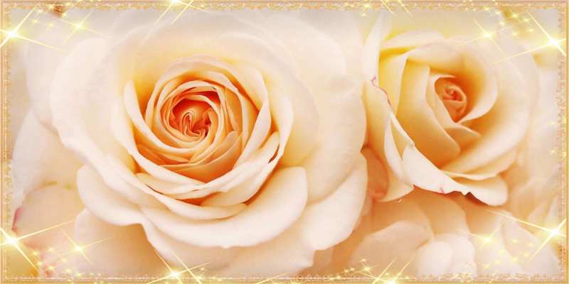 Картинка Люблю тебя, Коля