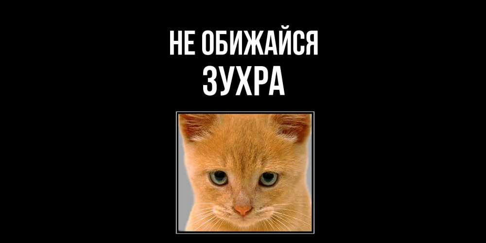 Открытка на каждый день с именем, Зухра Не обижайся рыжий грустный кот просит прощения Прикольная открытка с пожеланием онлайн скачать бесплатно 