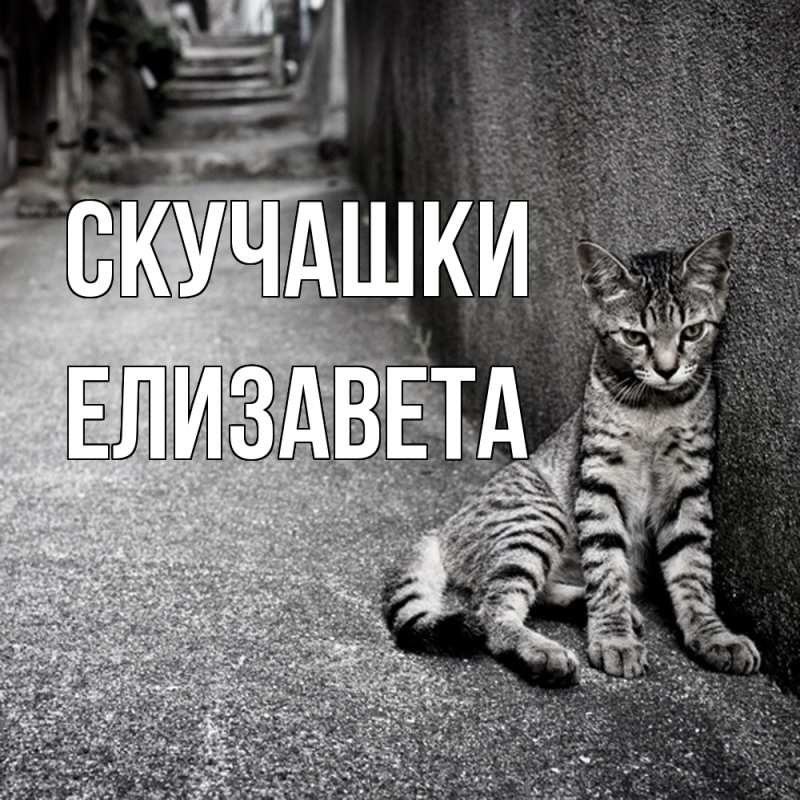 Картинка Скучашки, Елизавета