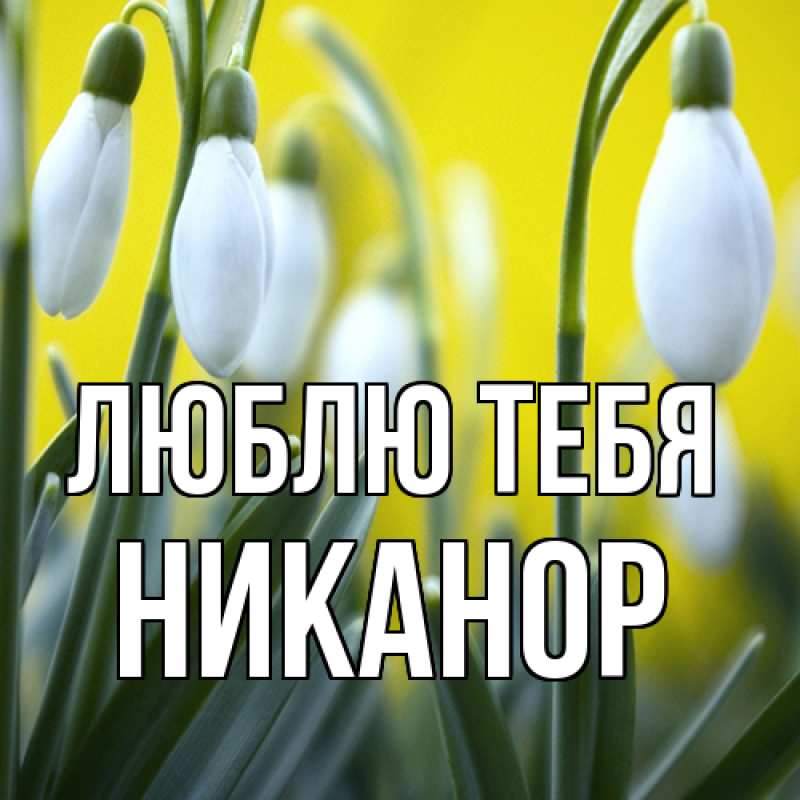 Картинка Люблю тебя, Никанор