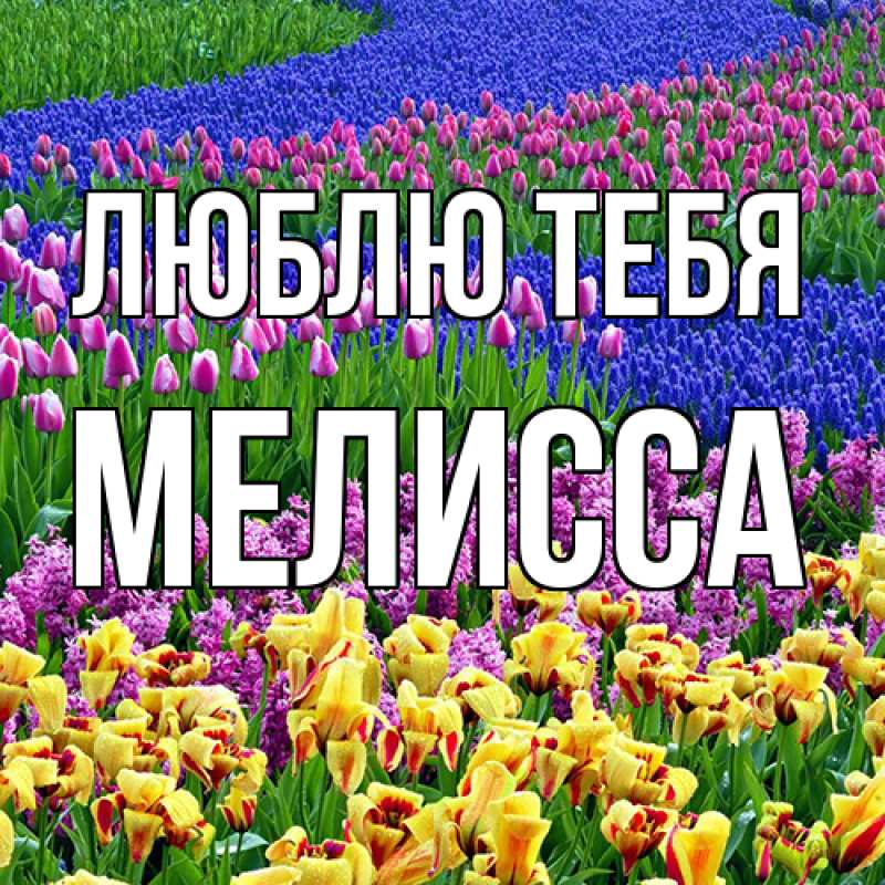 Картинка Люблю тебя, Мелисса