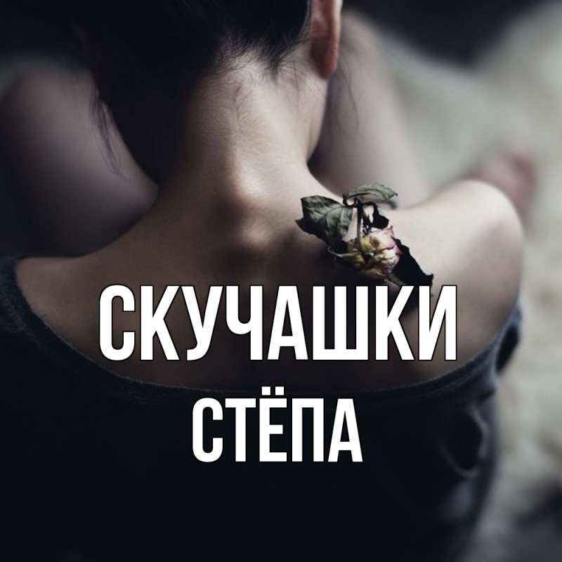 Картинка Скучашки, Стёпа