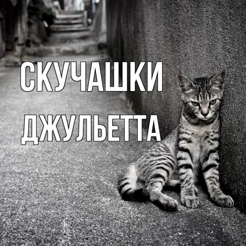 Картинка Скучашки, Джульетта