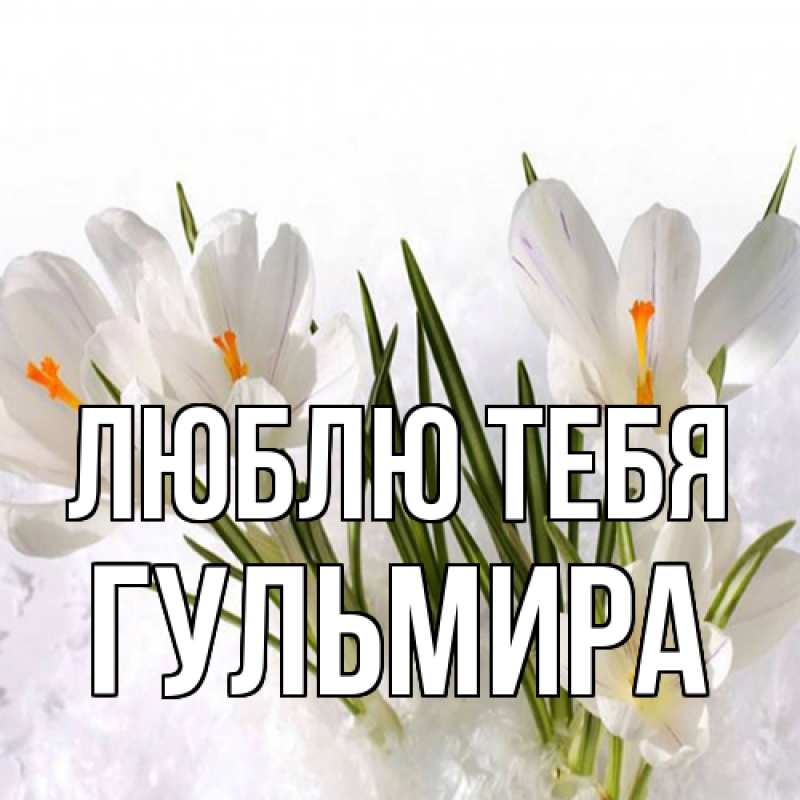 Картинка Люблю тебя, Гульмира