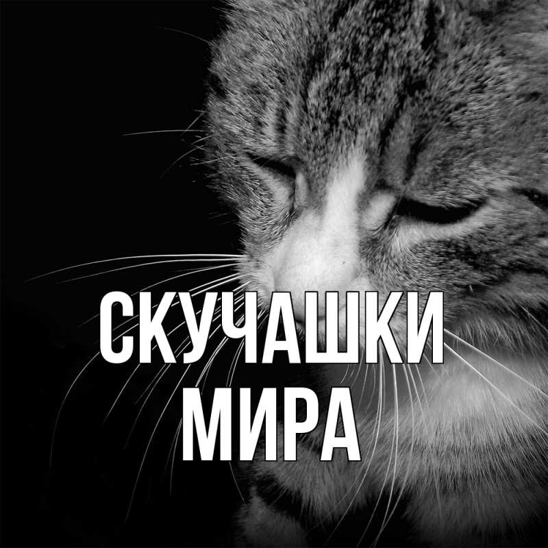 Открытка с именем, Мира, Скучашки