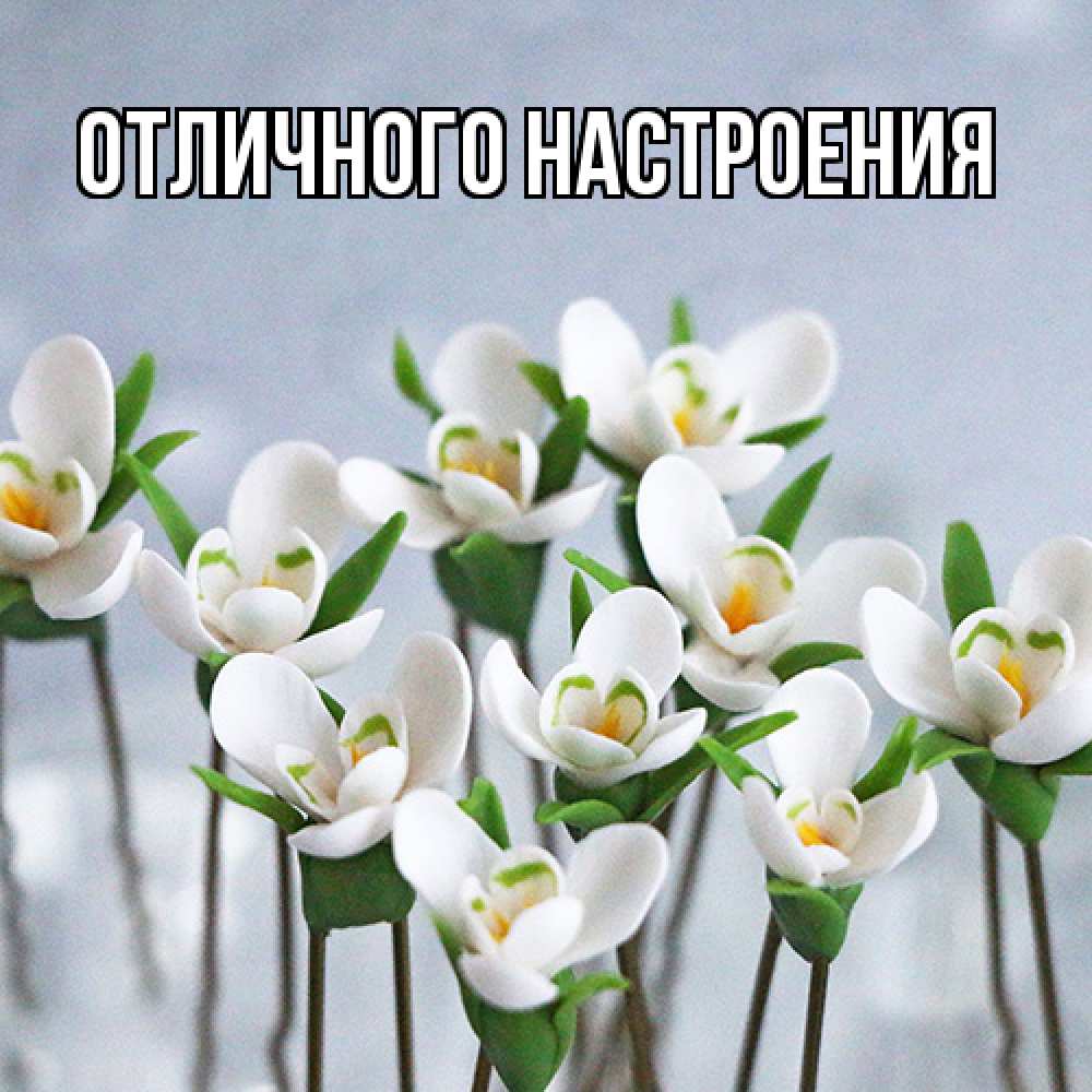 Открытка на каждый день с именем, Габриэлла Люблю тебя весенние цветы Прикольная открытка с пожеланием онлайн скачать бесплатно 