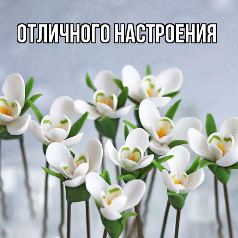 Картинка Люблю тебя, Габриэлла
