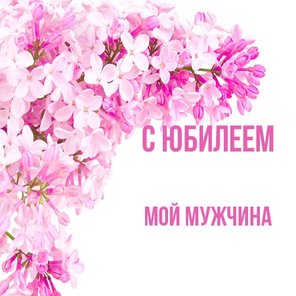 Открытка на каждый день с именем, Мой-мужчина C юбилеем Сирень на белом фоне Прикольная открытка с пожеланием онлайн скачать бесплатно 
