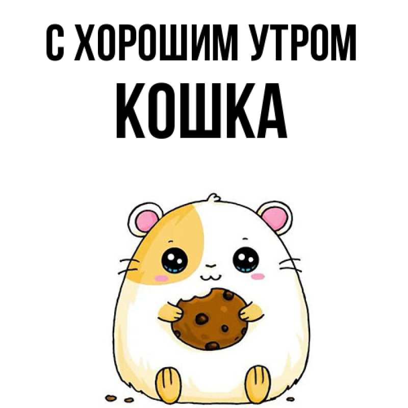 Картинка С хорошим утром, Кошка