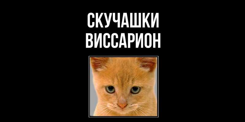 Картинка Скучашки, Виссарион