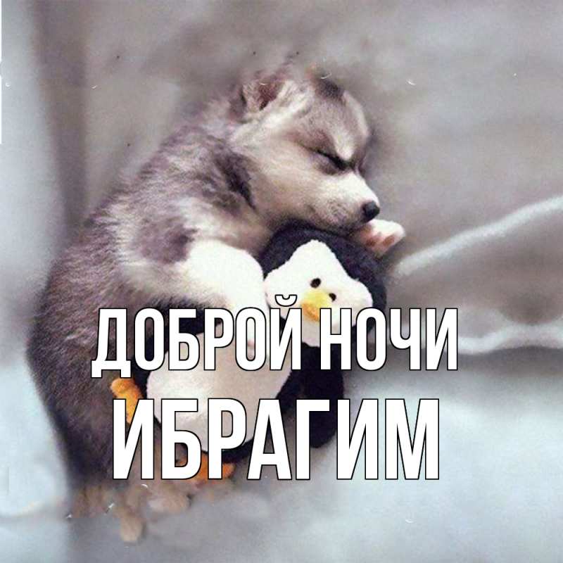Картинка Доброй ночи, Ибрагим