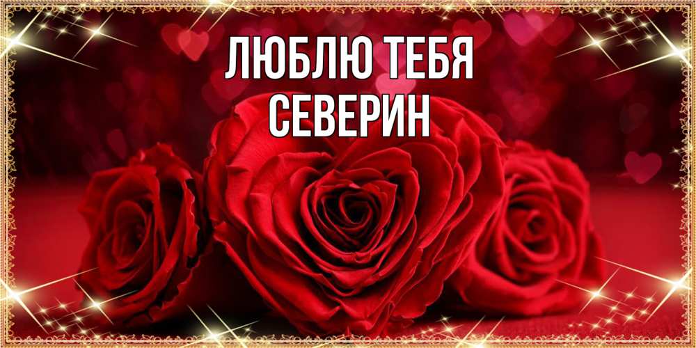 Открытка на каждый день с именем, Северин Люблю тебя три красные розы Прикольная открытка с пожеланием онлайн скачать бесплатно 