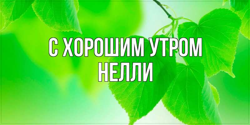 Картинка С хорошим утром, Нелли