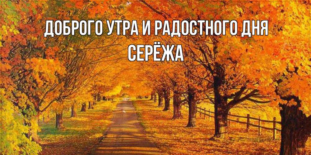 Открытка на каждый день с именем, Серёжа Доброго утра и радостного дня деревья с осенними листьями Прикольная открытка с пожеланием онлайн скачать бесплатно 