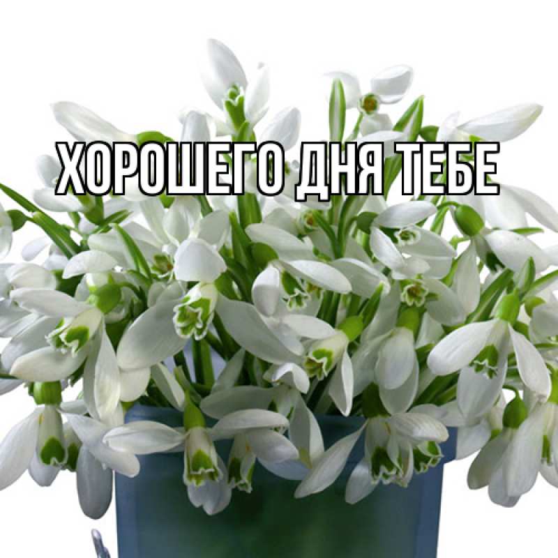 Картинка Люблю тебя, Иванна