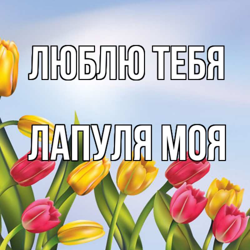 Картинка Люблю тебя, Лапуля моя