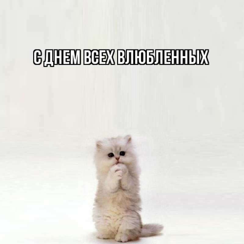 Картинка Я жду тебя, Моя женщина