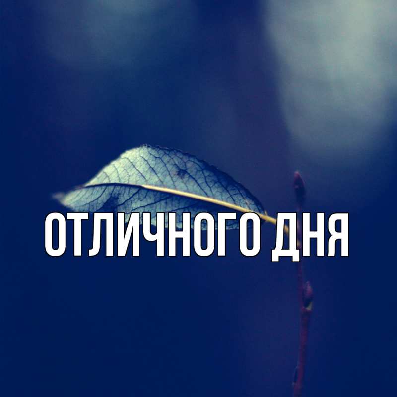 Картинка Скучашки, Адис