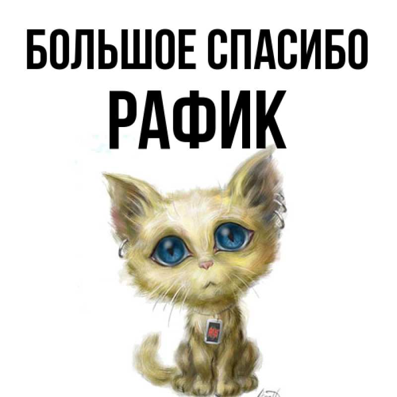 Картинка Большое спасибо, Рафик
