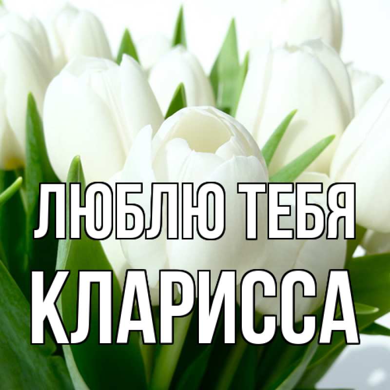 Картинка Люблю тебя, Кларисса