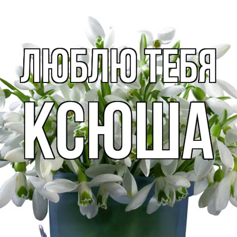 Картинка Люблю тебя, Ксюша