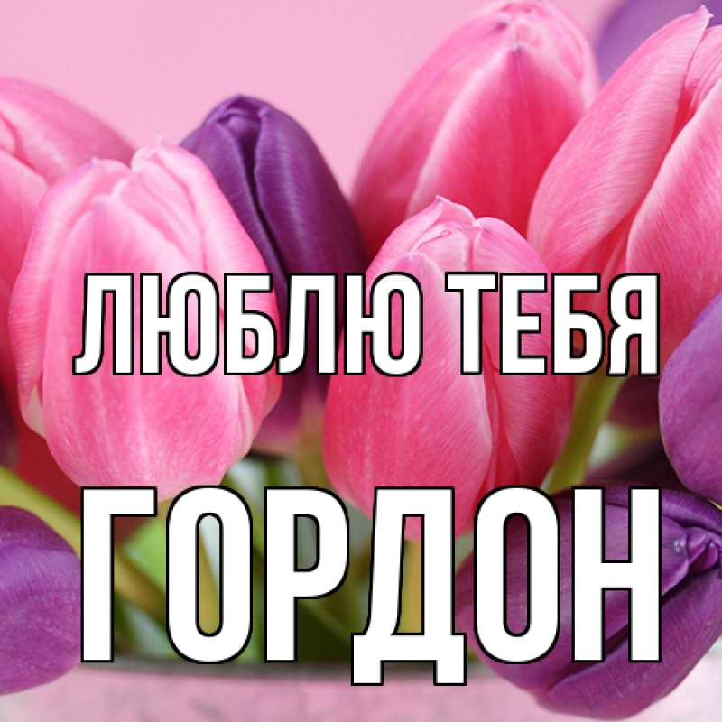 Картинка Люблю тебя, Гордон