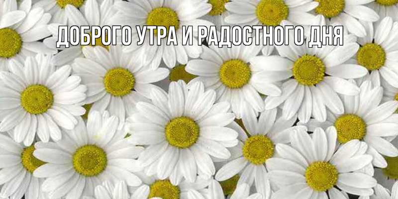 Картинка Отличного настроения, Душа моя