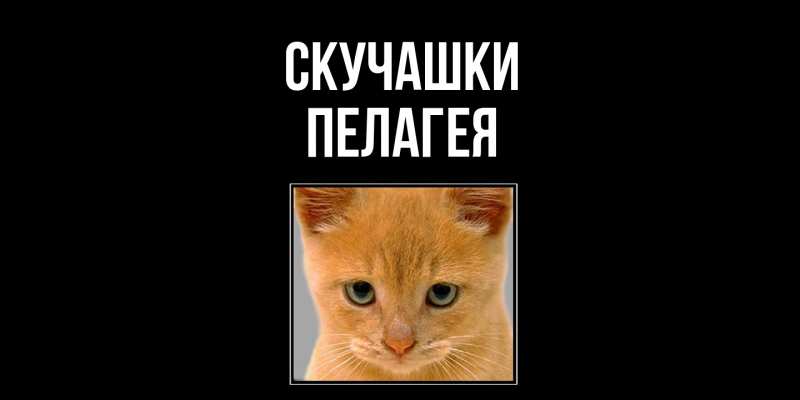 Картинка Скучашки, Пелагея