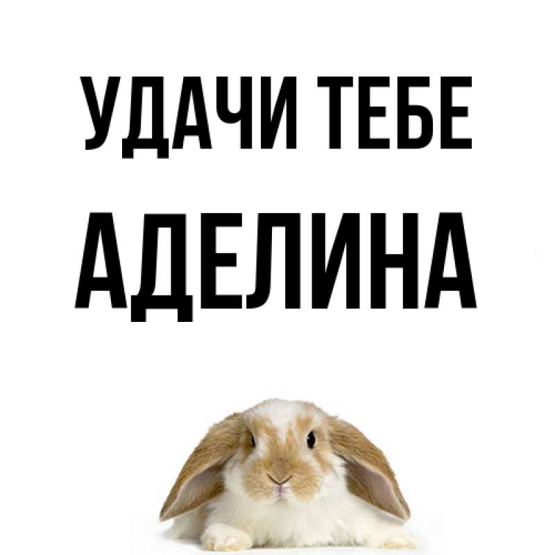 Картинка Удачи тебе, Аделина