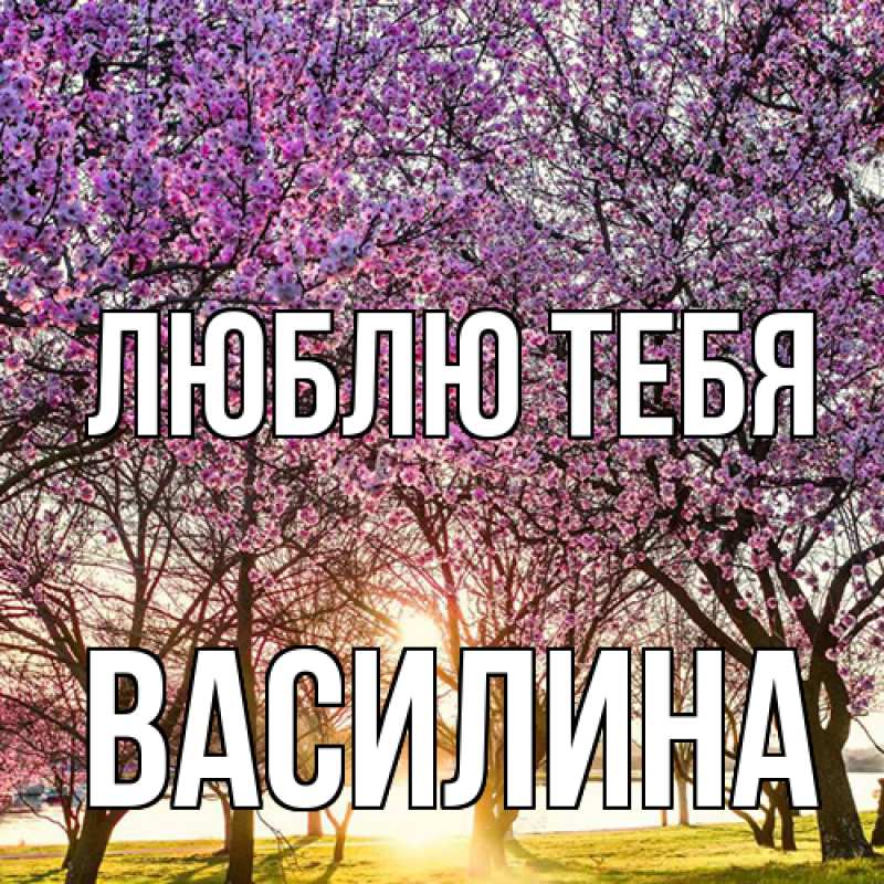 Картинка Люблю тебя, Василина