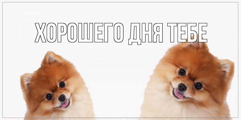 Картинка Хорошего дня тебе, 