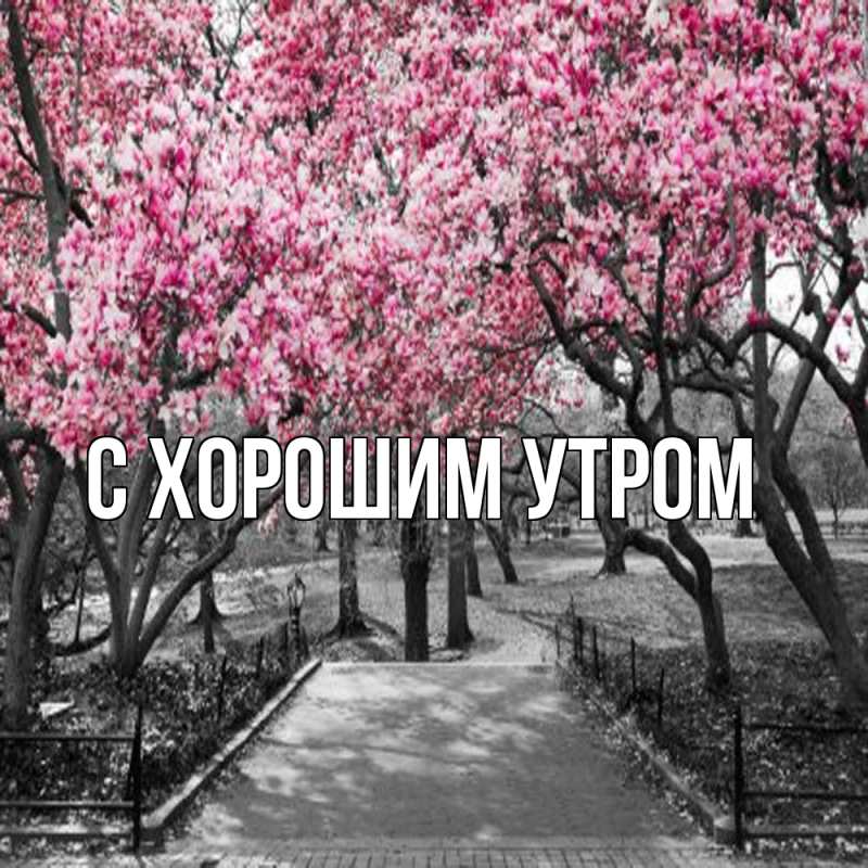 Картинка Обнимашки, Анеля