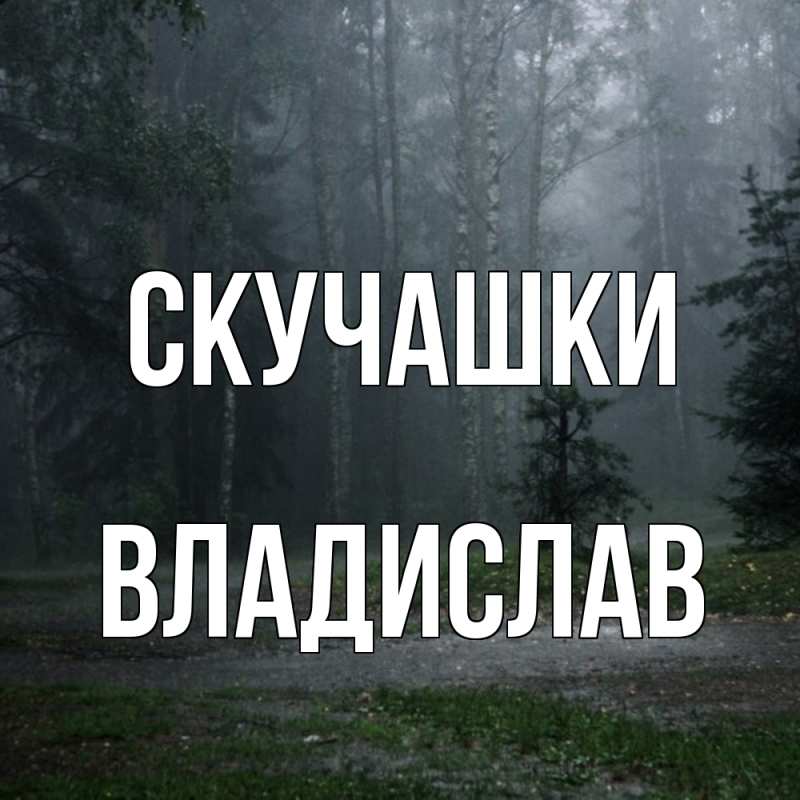 Картинка Скучашки, Владислав
