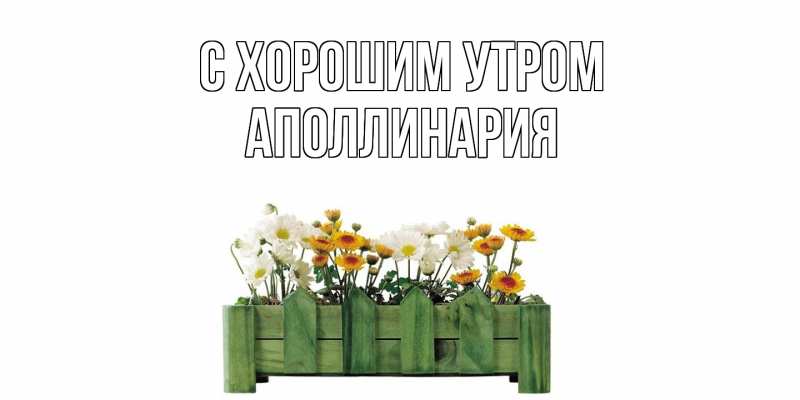 Картинка С хорошим утром, Аполлинария