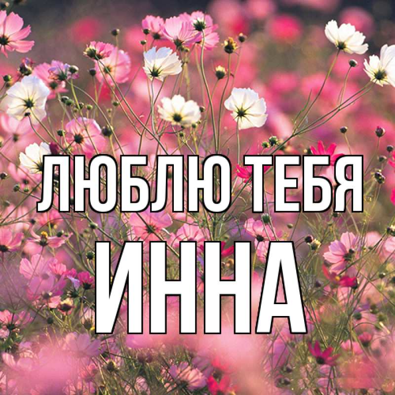 Картинка Люблю тебя, Инна