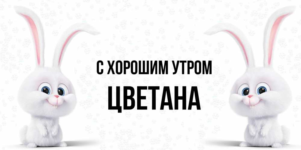 Открытка на каждый день с именем, Цветана С хорошим утром кролики с длинными ушками Прикольная открытка с пожеланием онлайн скачать бесплатно 
