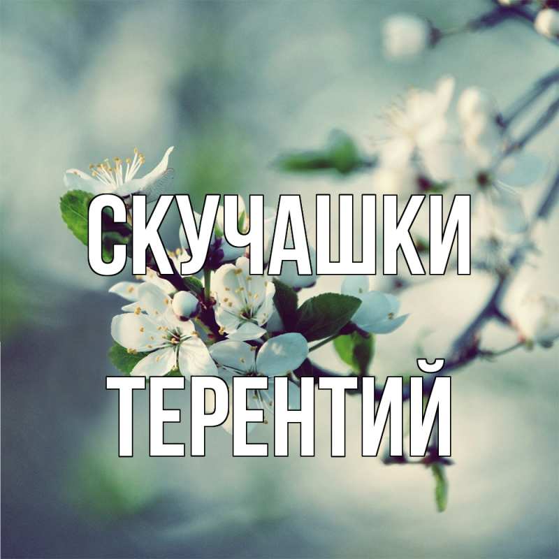 Картинка Скучашки, Терентий