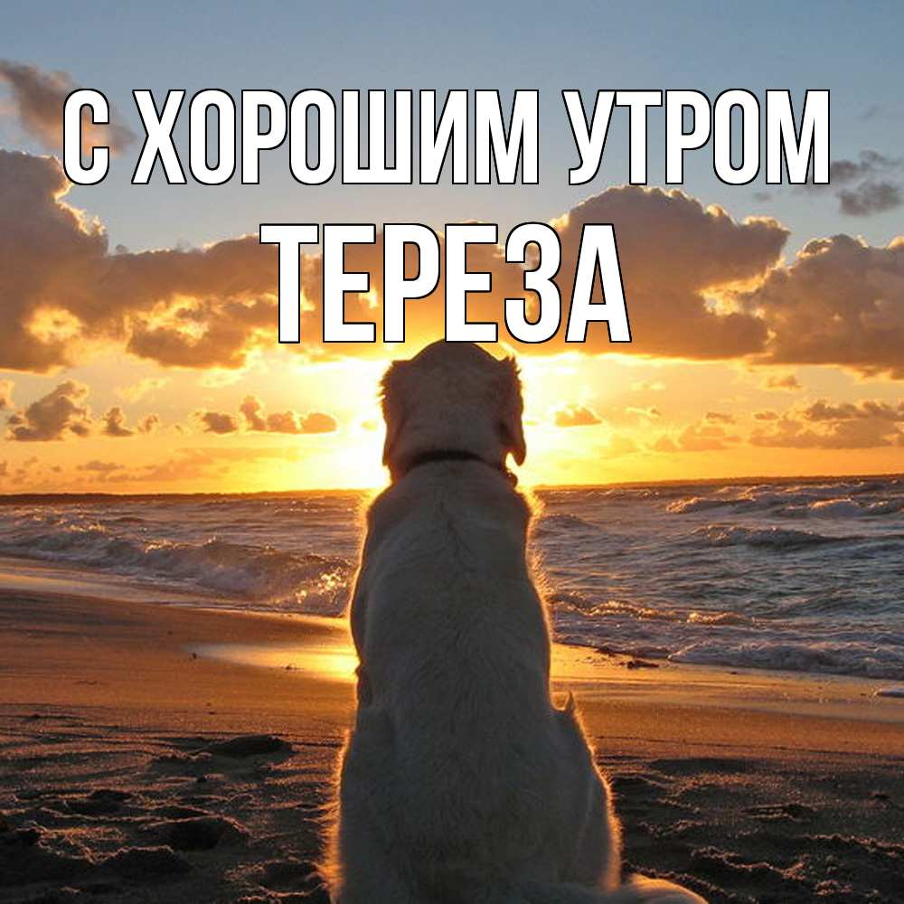 Открытка на каждый день с именем, Тереза С хорошим утром восход солнца Прикольная открытка с пожеланием онлайн скачать бесплатно 