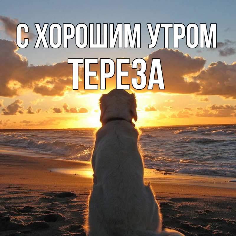 Картинка С хорошим утром, Тереза