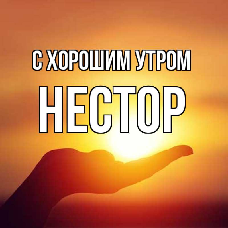 Картинка С хорошим утром, Нестор